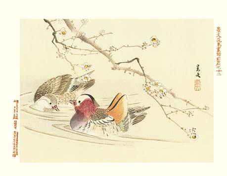 Kacho Gafu Exhibition of the Reader Collection of Japanese Flower and Bird  Art